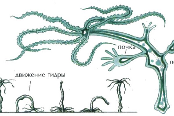 Кракен даркнет store kraken dark link