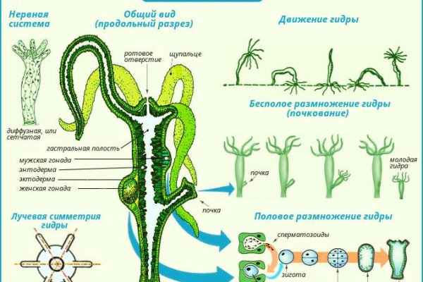 Kraken darknet market зеркало
