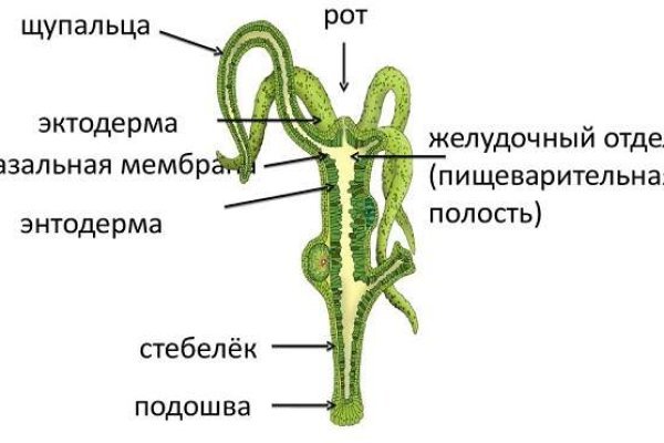 Кракен даркнет только через торг