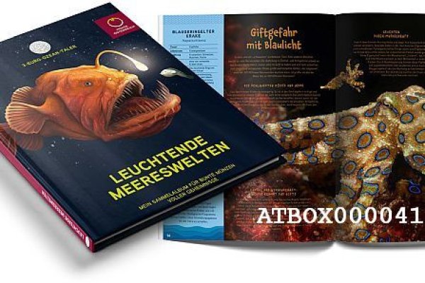 Кракен макет даркнет только через тор