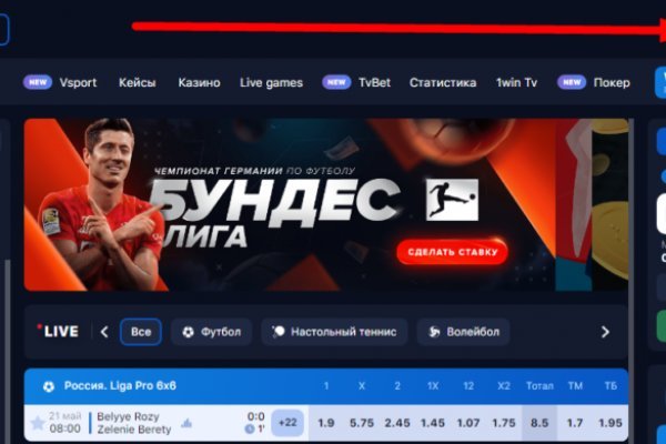 Пользователь не найден кракен что делать