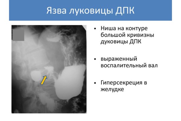 Kraken ссылка актуальная