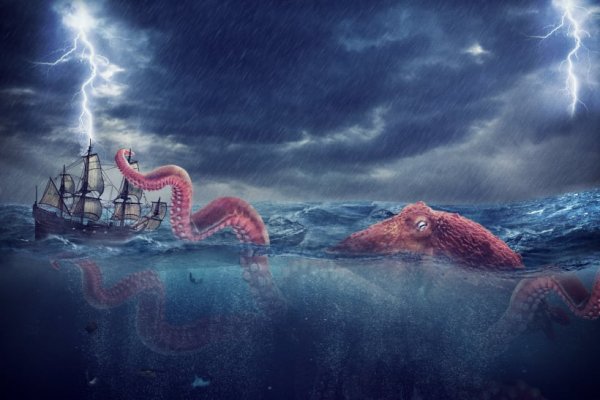 Kraken вход kraken torion