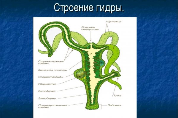 Кракен маркетплейс официальный сайт