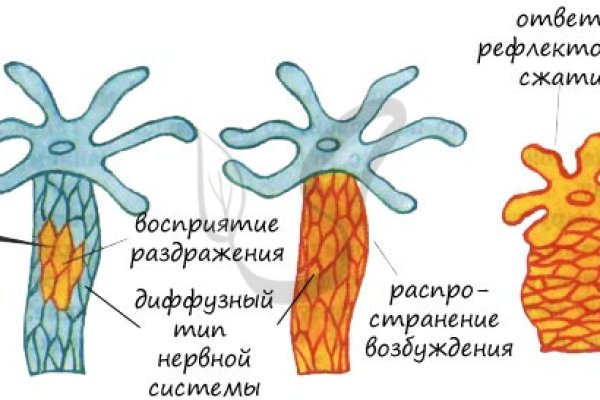Ссылка на kraken at