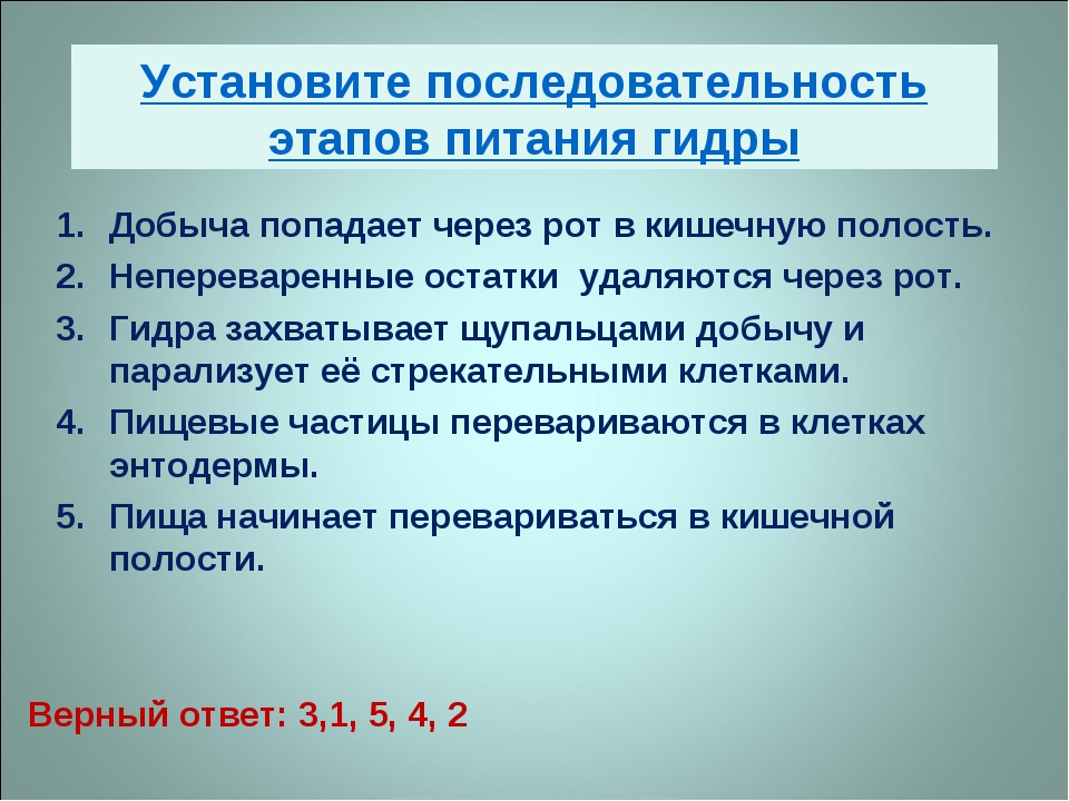 Кракен наркоман